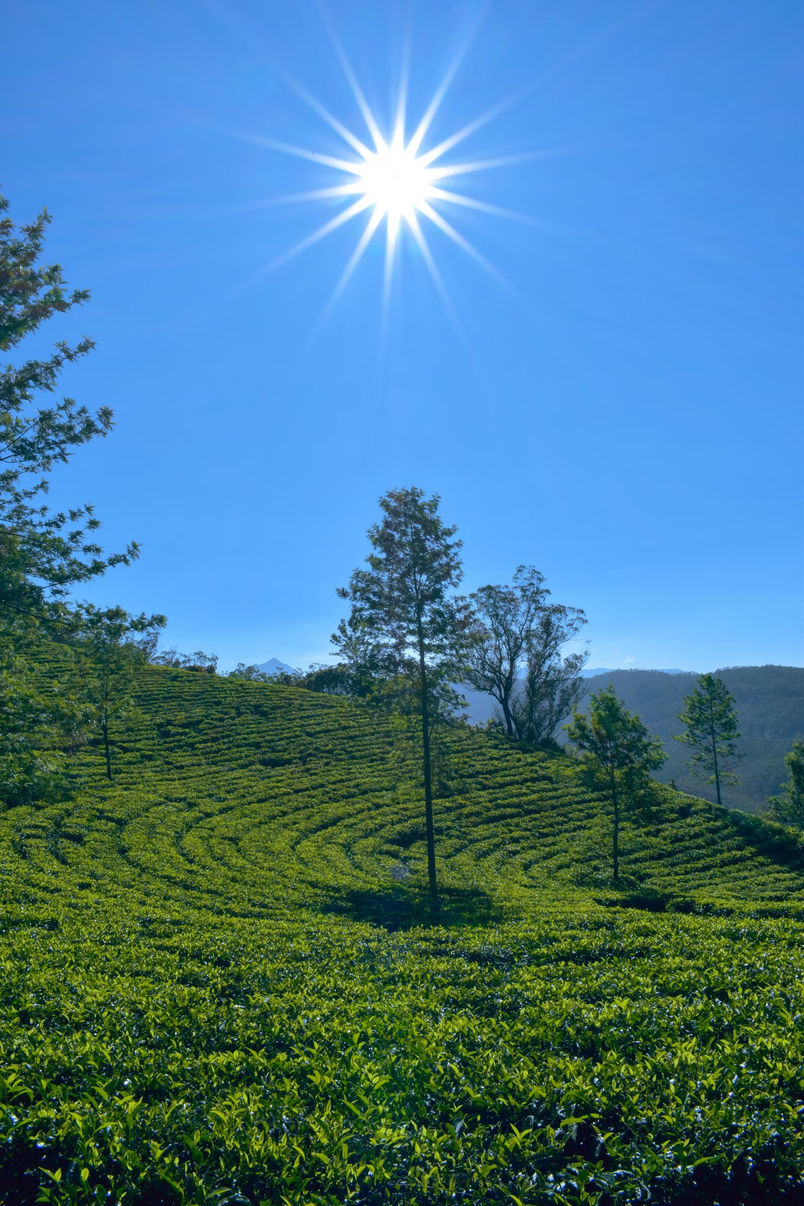 Matale